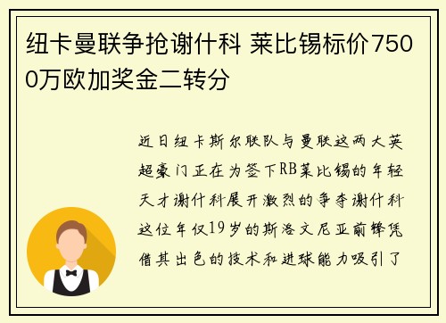 纽卡曼联争抢谢什科 莱比锡标价7500万欧加奖金二转分